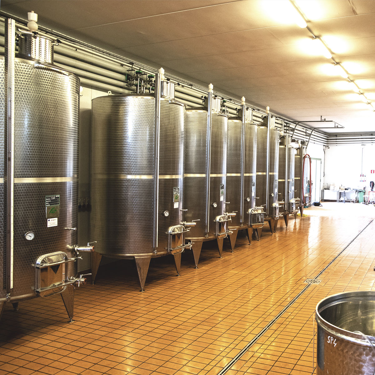 Cellar Image 2