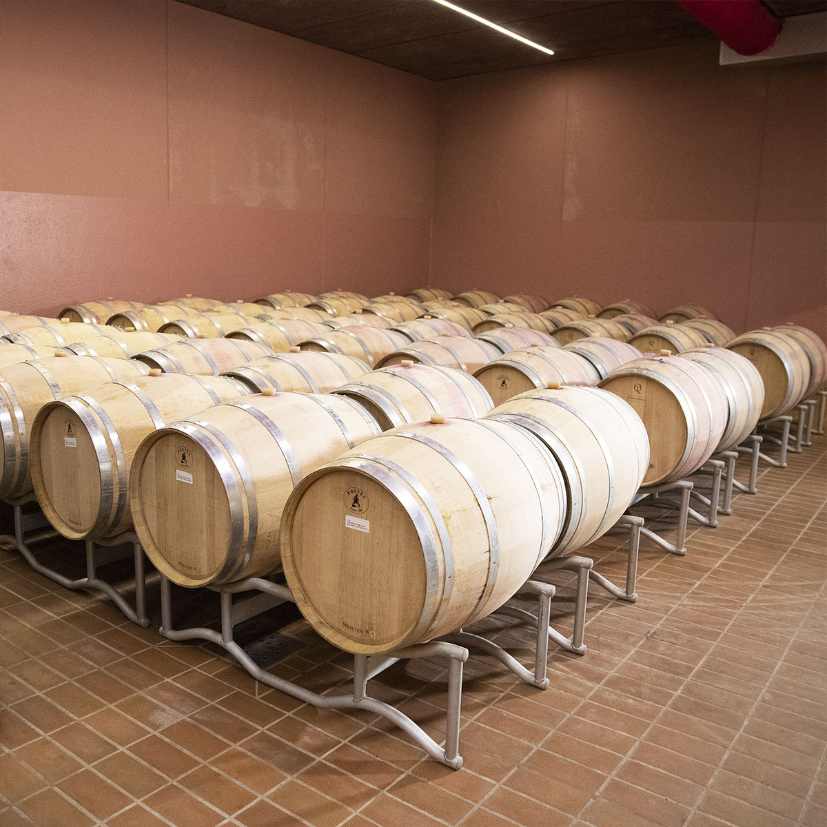 Cellar Image 3
