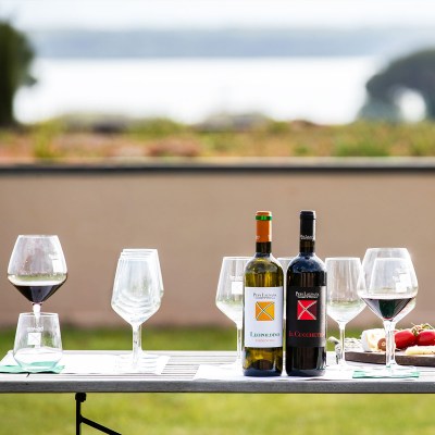 Tasting 6 Wines Experience