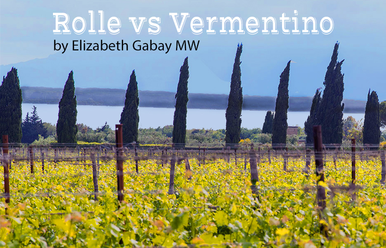 Rolle vs Vermentino - by Elizabeth Gabay