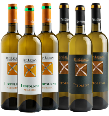 White Wine Tasting Box